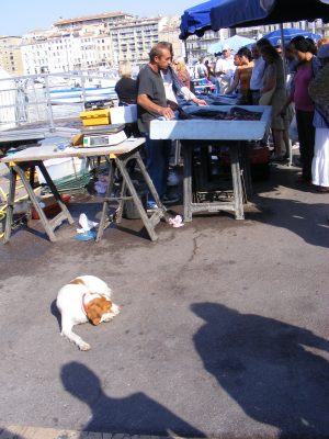 Fischmarkt am Marseiller Hafen
