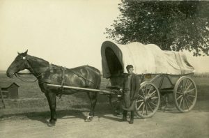 Bauer Todt mit Pferd und Wagen in Schafstedt